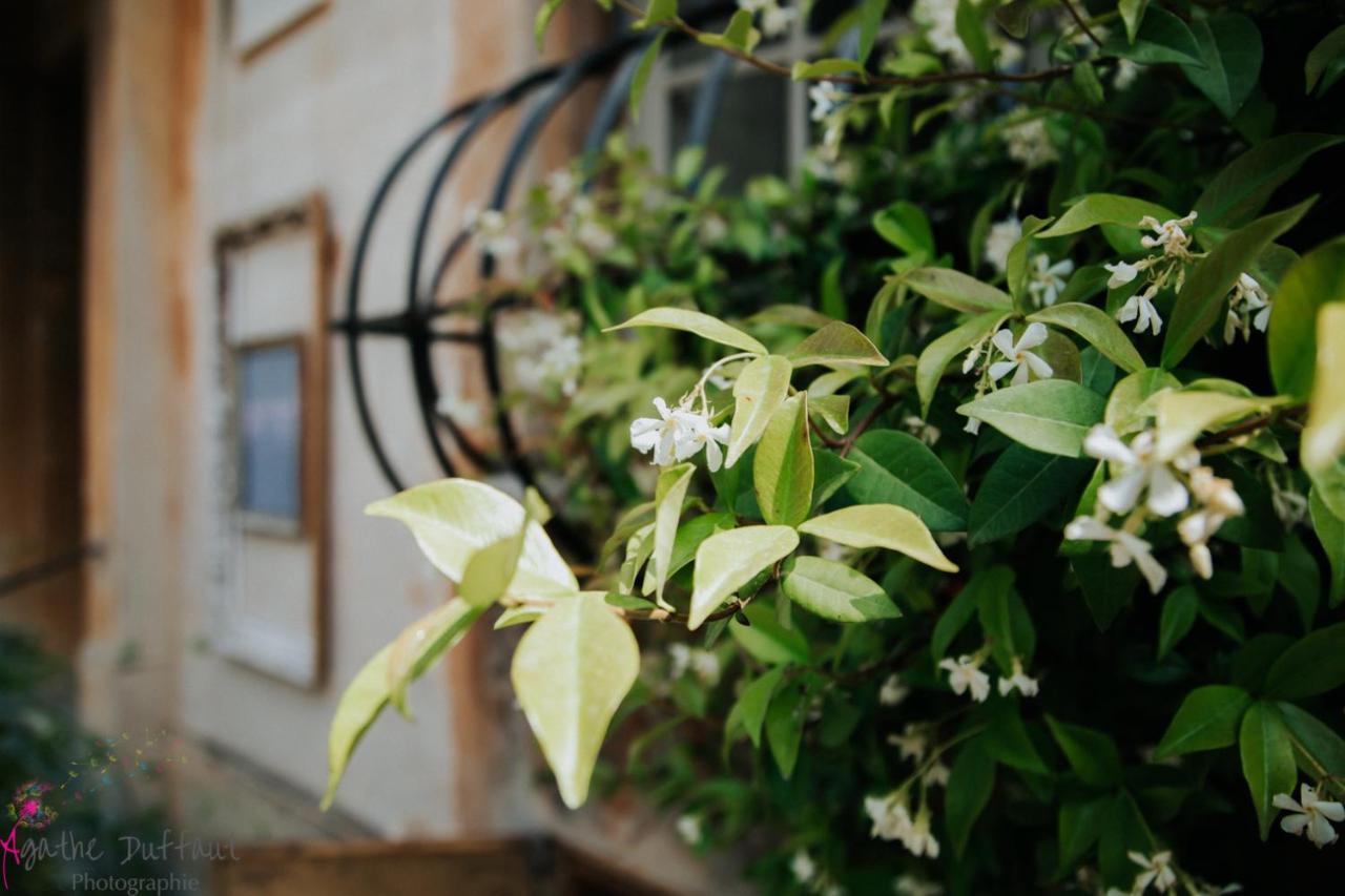 Hotel Particulier Des Jasmins Le Bar-sur-Loup Luaran gambar