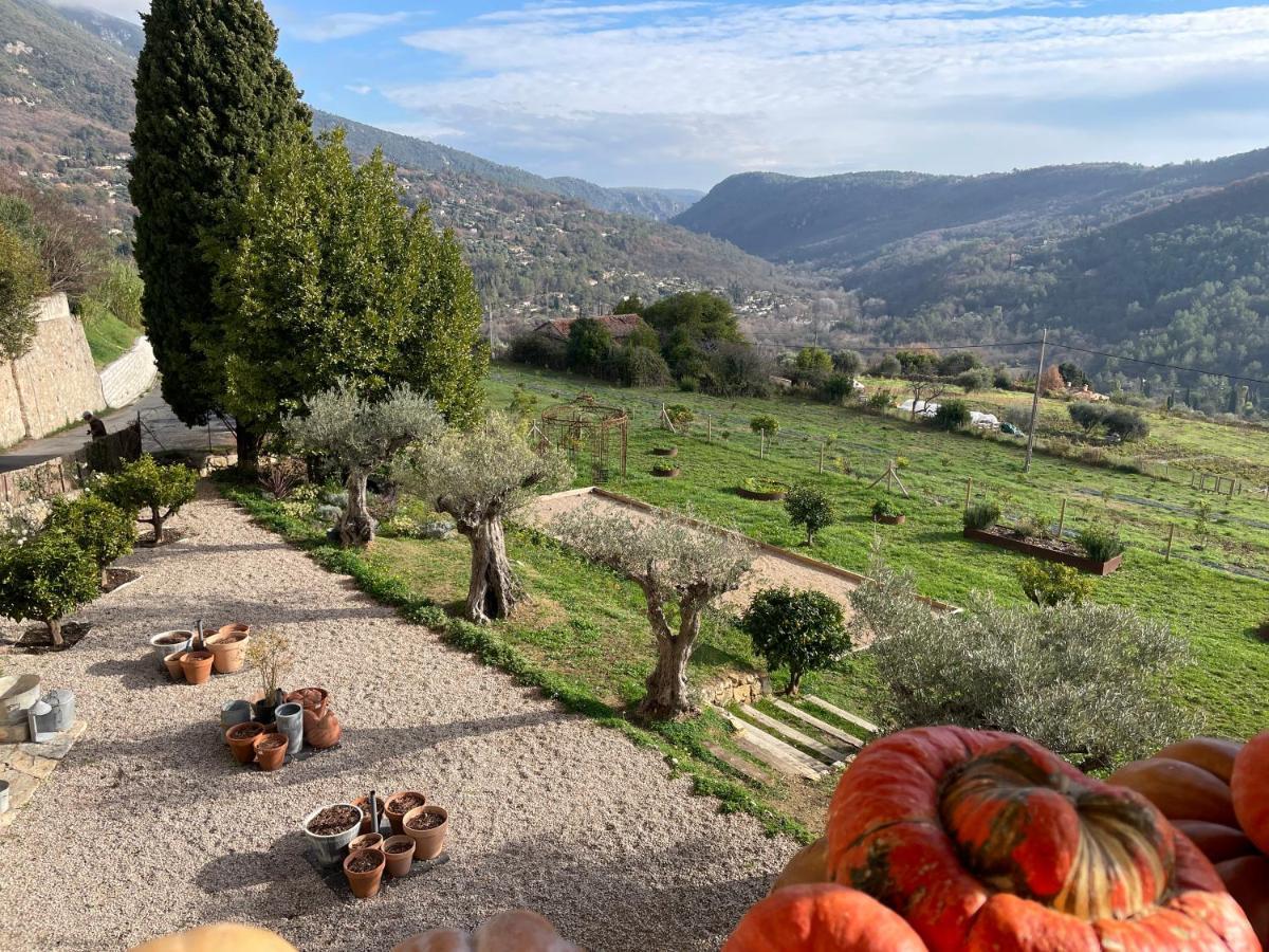 Hotel Particulier Des Jasmins Le Bar-sur-Loup Luaran gambar